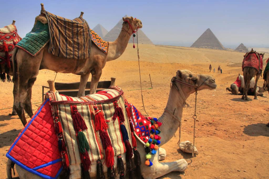 אודות אתר בוא למצרים